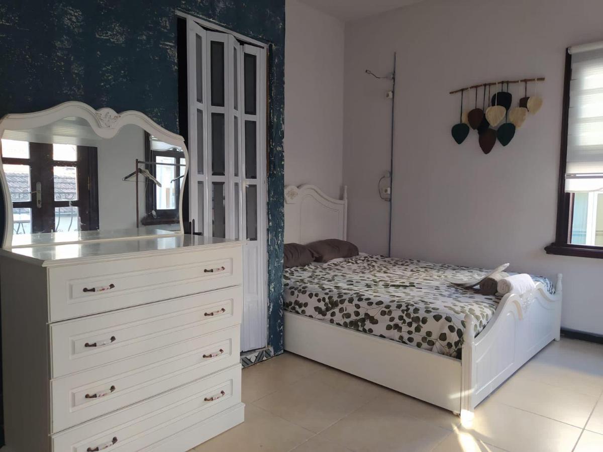 Gaia Art Hostel Hotel Istanbul Bagian luar foto